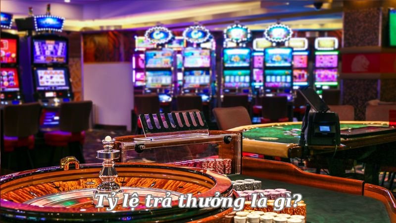 ty-le-tra-thuong-la-gi