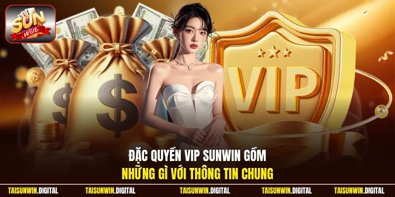 Đặc quyền VIP Sunwin gồm những gì với thông tin chung